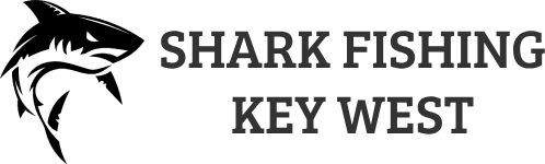 Shark Fishing Key West